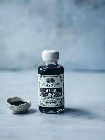Anima Mundi BLACK ELDERBERRY Elixir | Botanical Mushroom Syrup