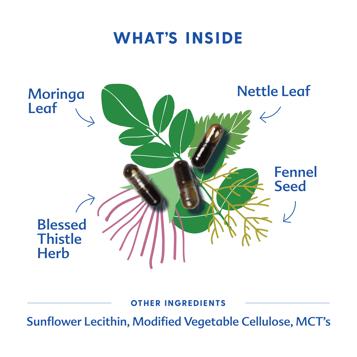More Milk® Moringa - Liquid Capsules