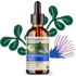 Motherlove Herbal Company Breastfeeding More Milk Plus® - Tincture