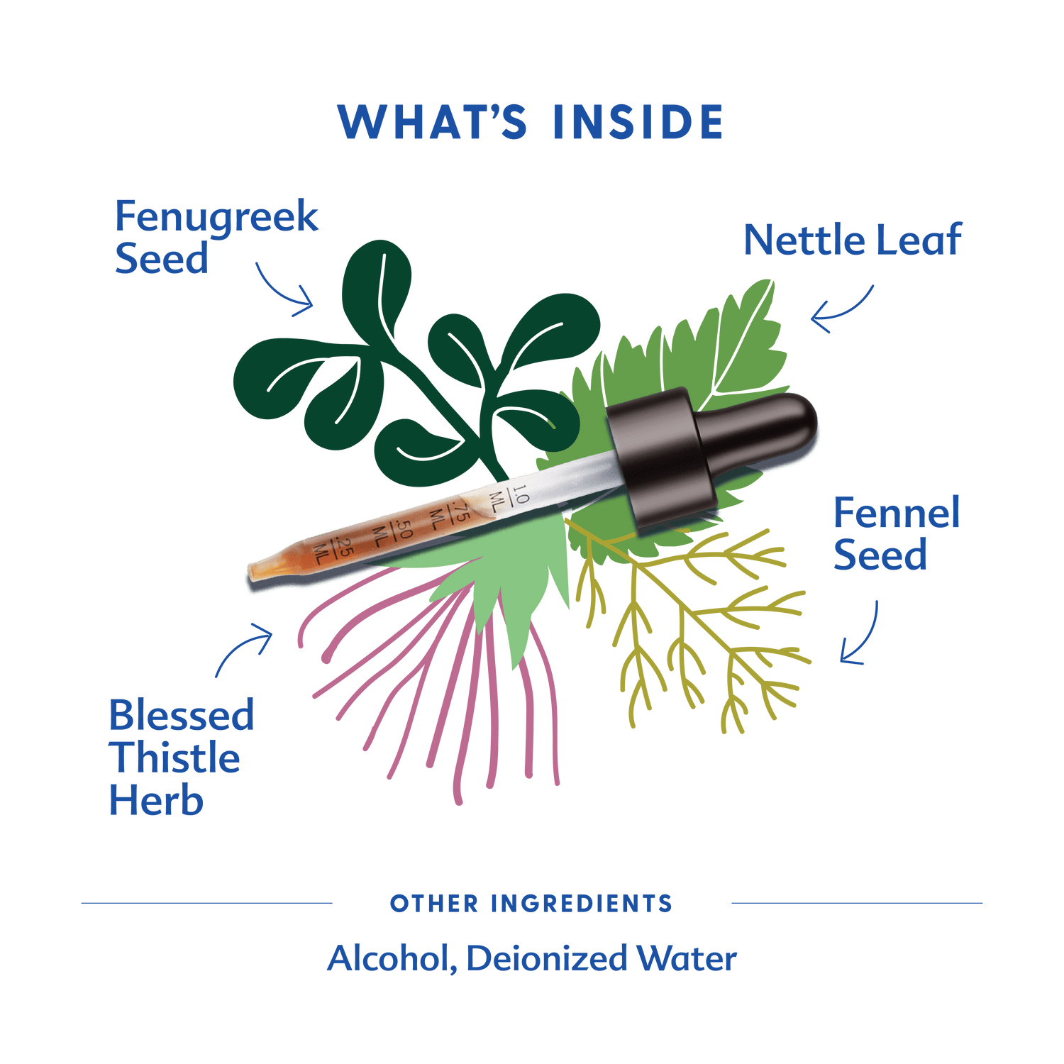 More Milk Plus® - Tincture