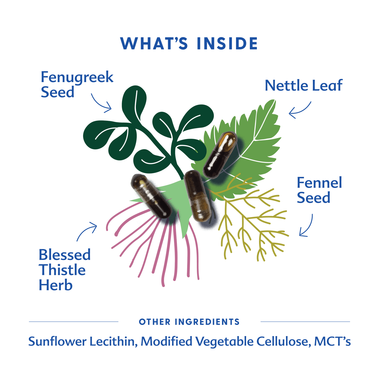 More Milk Plus® - Liquid Capsules