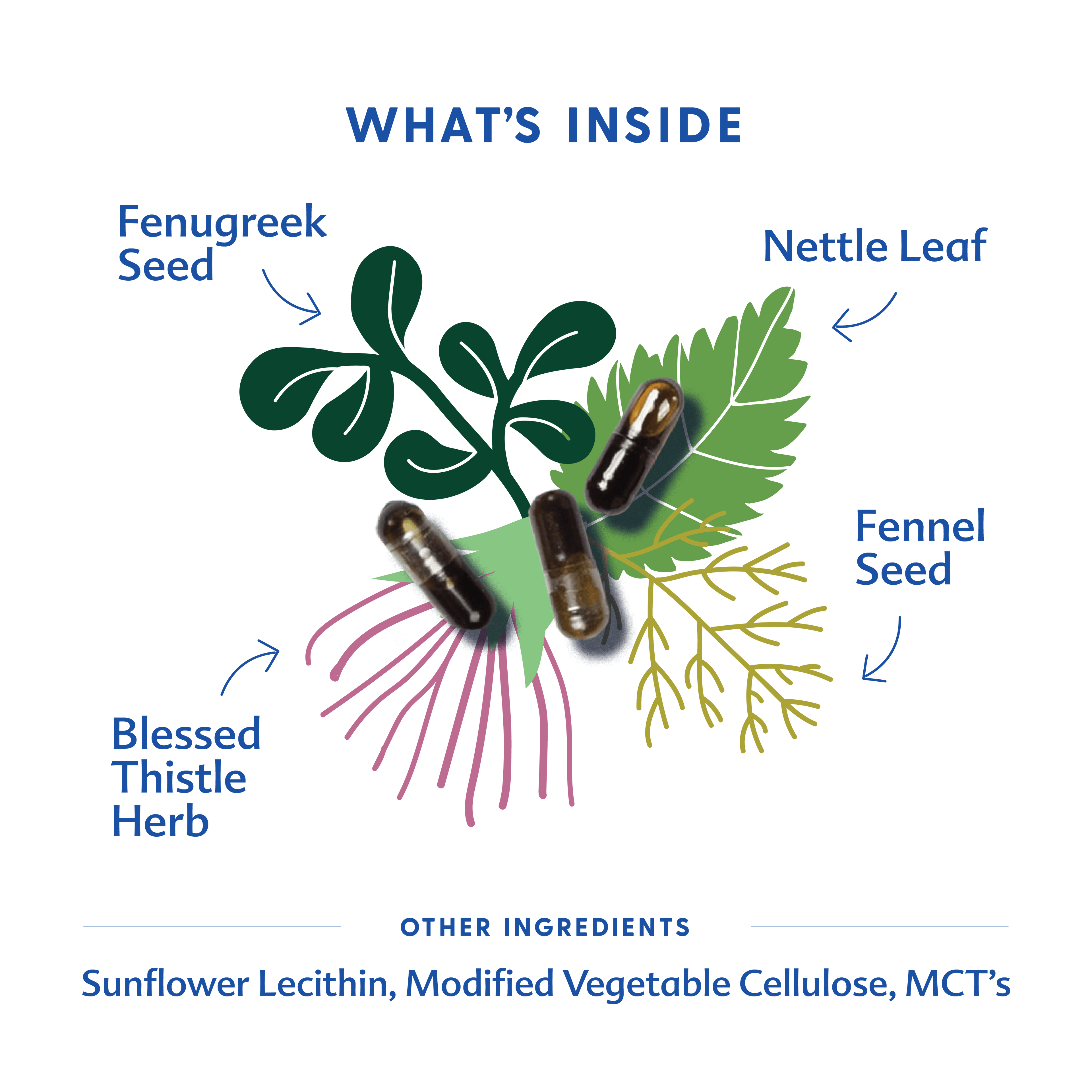 More Milk Plus® - Liquid Capsules