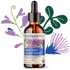 Motherlove Herbal Company Breastfeeding More Milk® Special Blend - Tincture