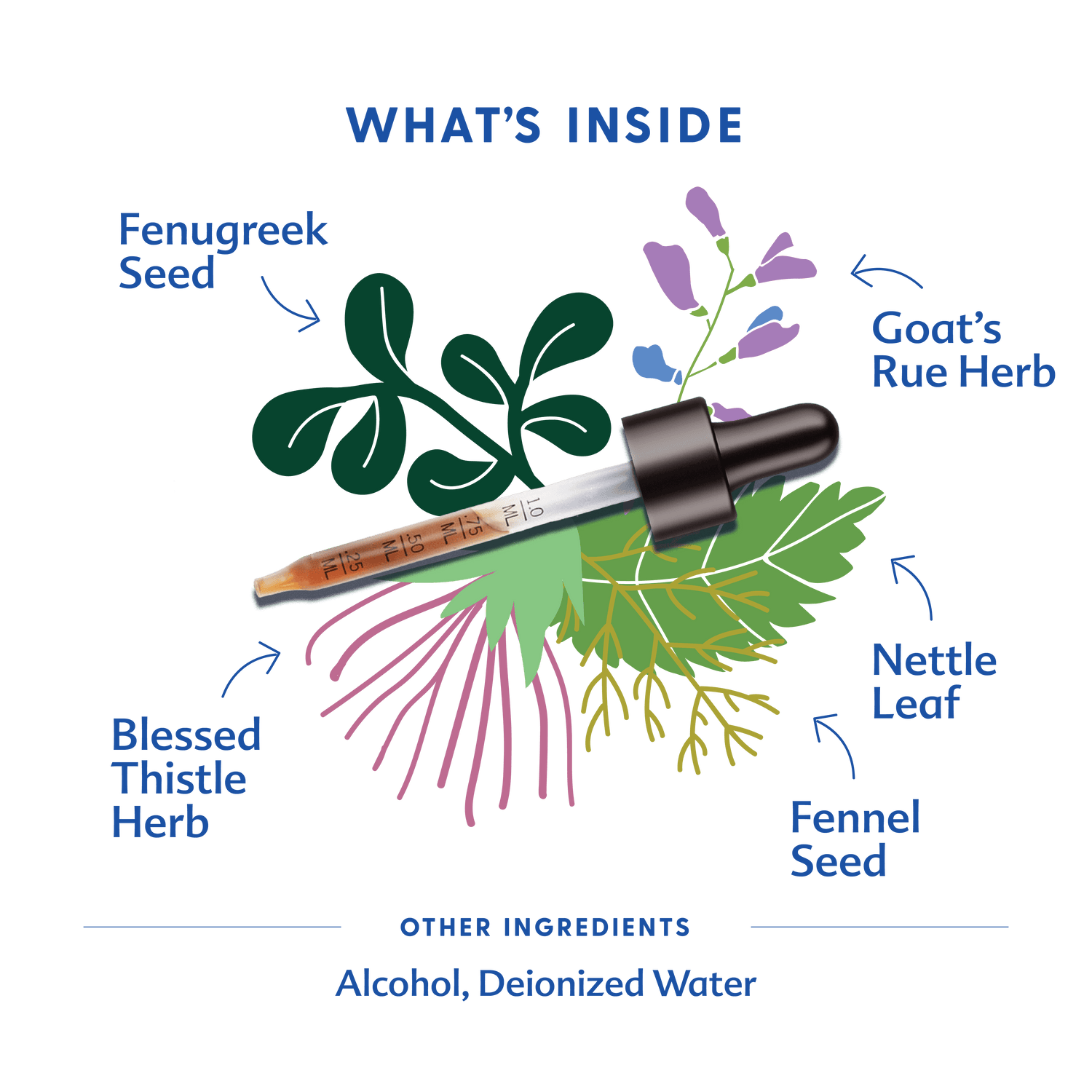More Milk® Special Blend - Tincture