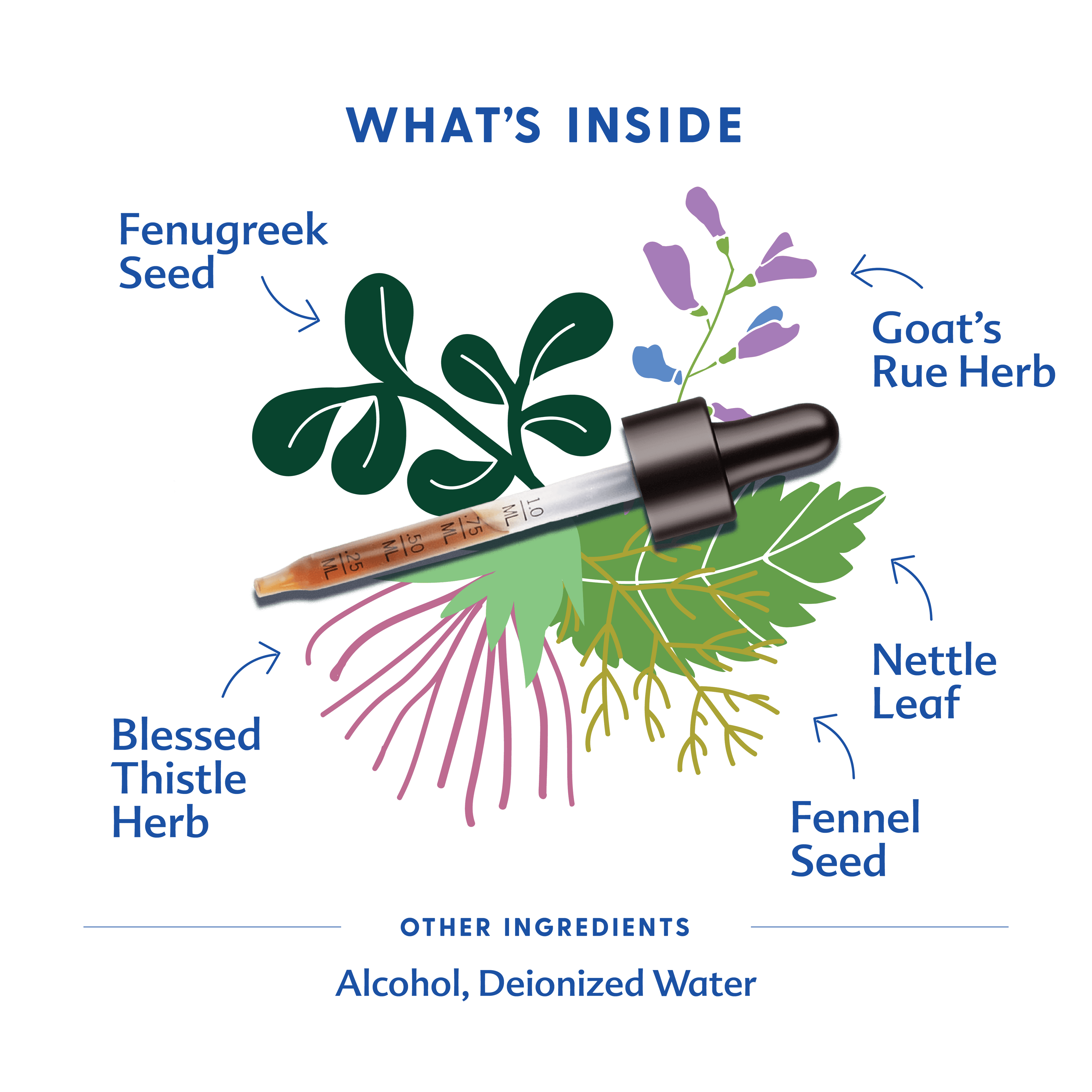 More Milk® Special Blend - Tincture