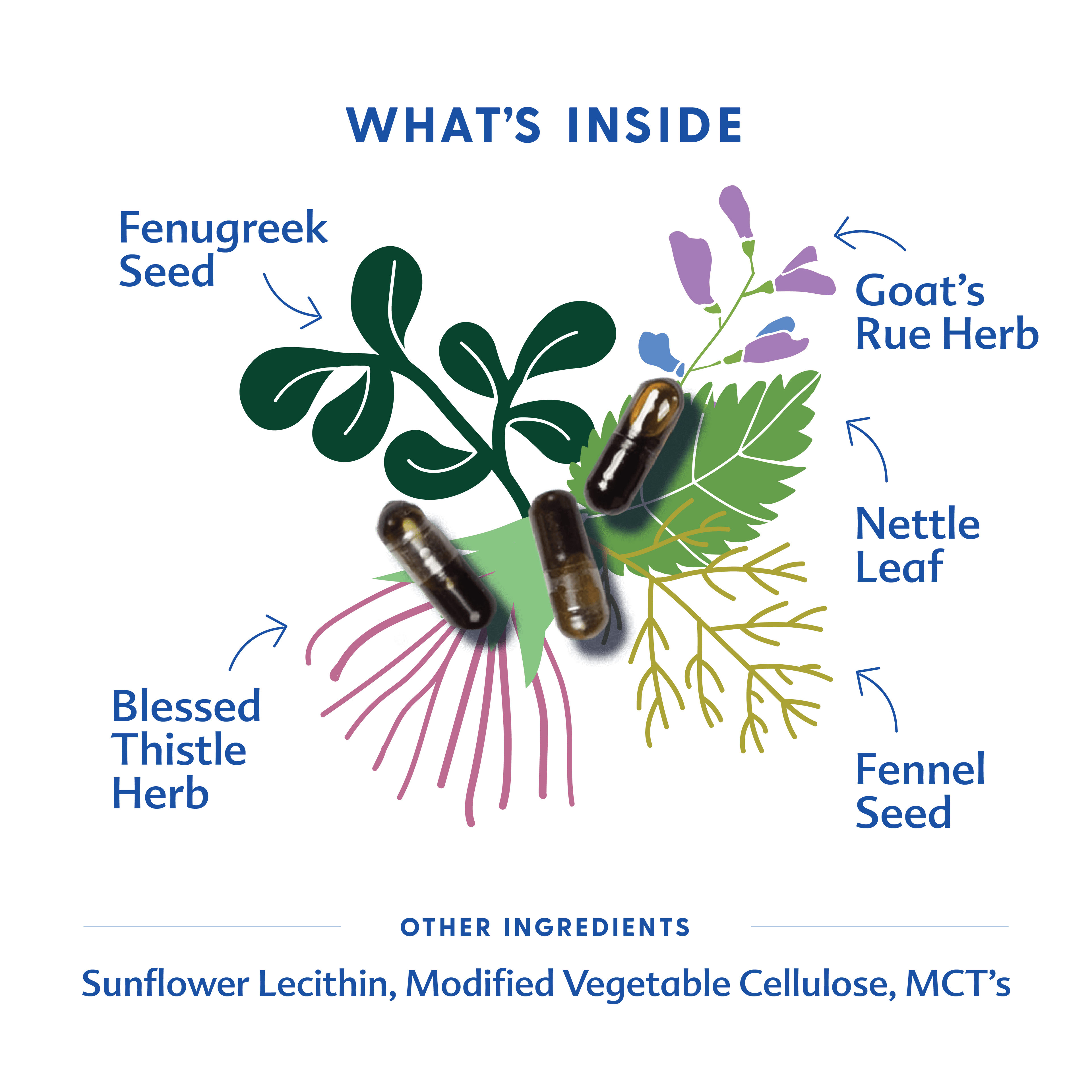 More Milk® Special Blend - Liquid Capsules