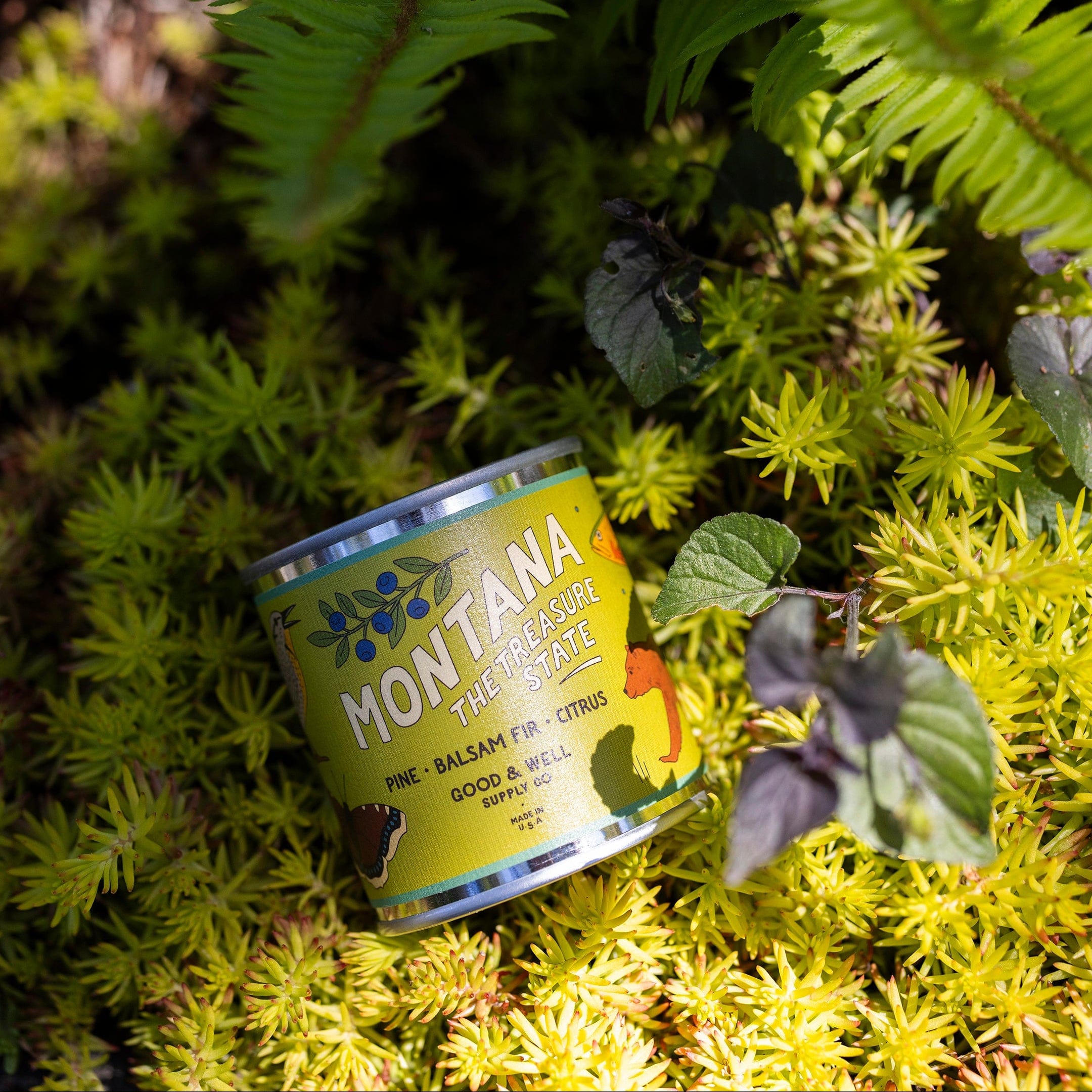 Montana State Candle