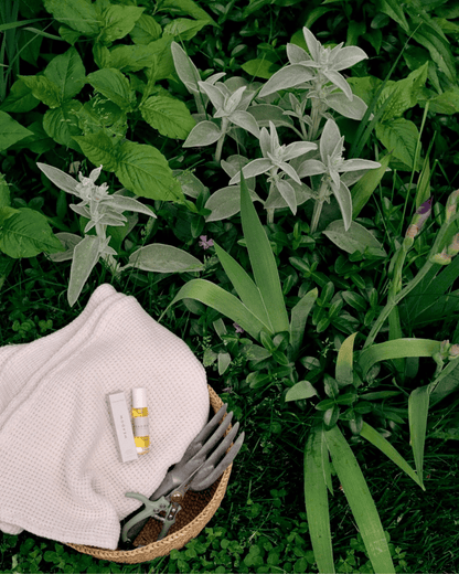 &amp; Tread Well fragrance Natural Fragrance – Meadow