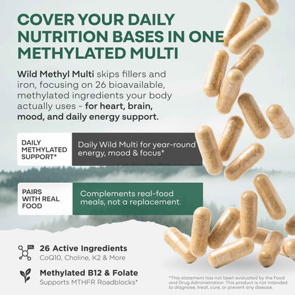 Wild Foods Supplements Methylated Whole Food Multivitamin