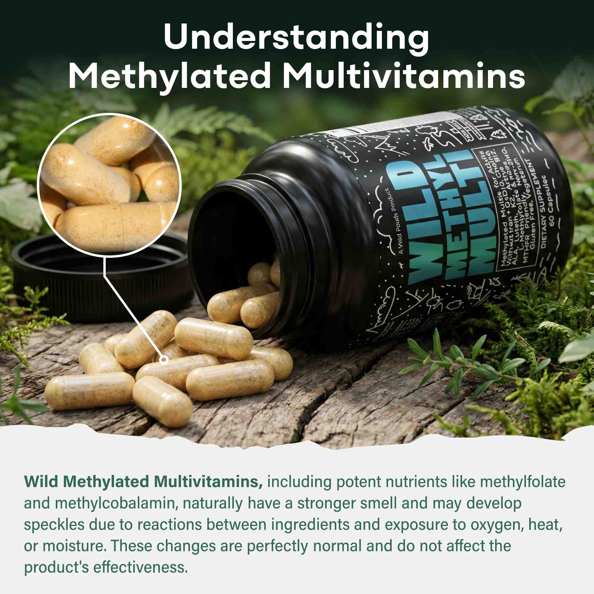 Wild Foods Supplements Methylated Whole Food Multivitamin