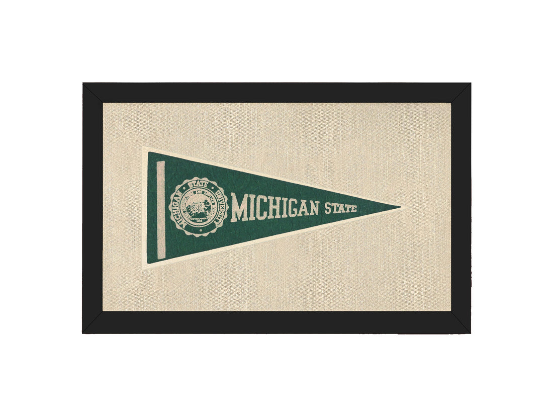 Vintage Michigan State Pennant