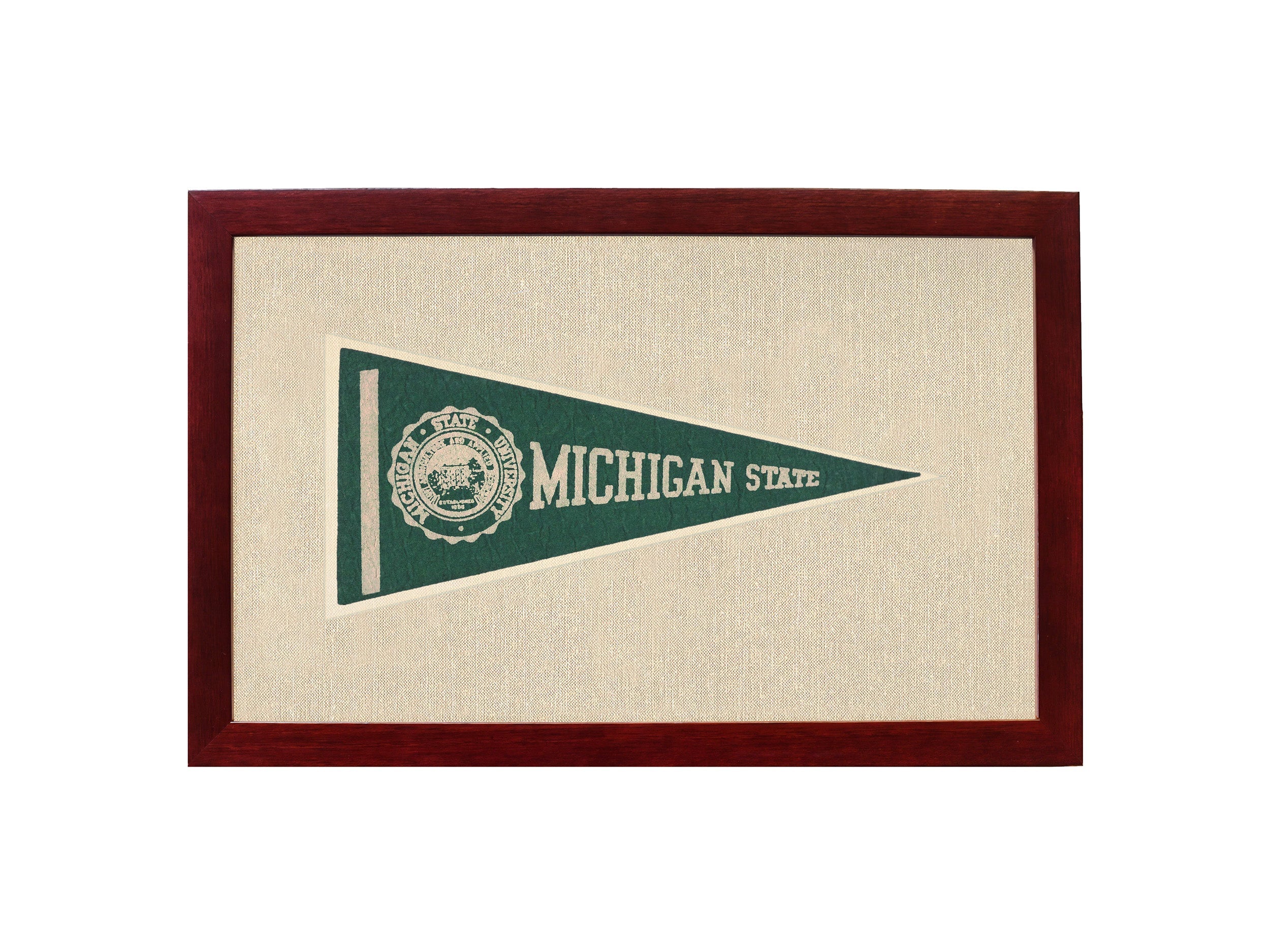 Vintage Michigan State Pennant