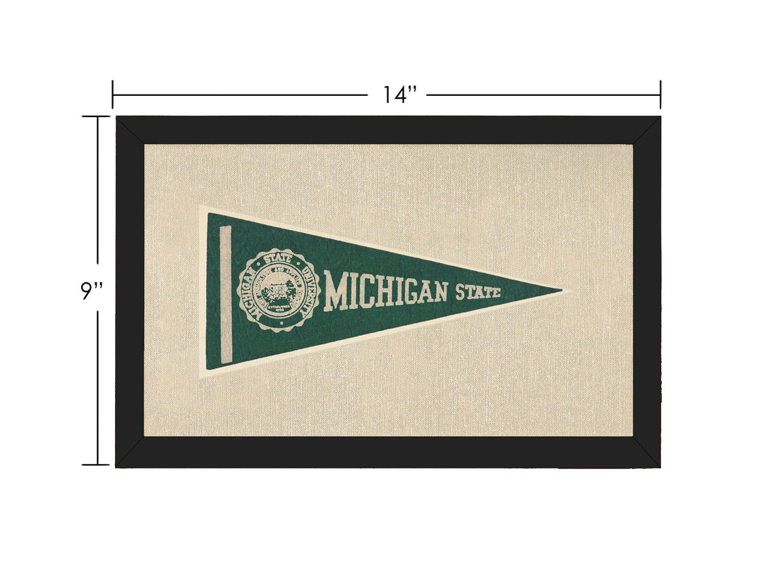 Vintage Michigan State Pennant