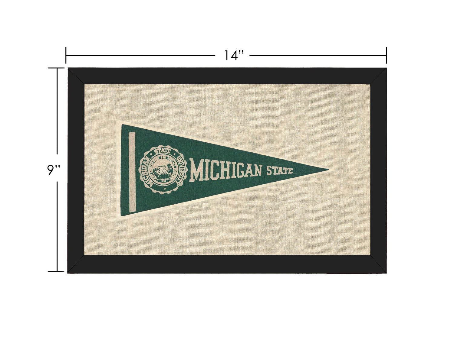 Vintage Michigan State Pennant