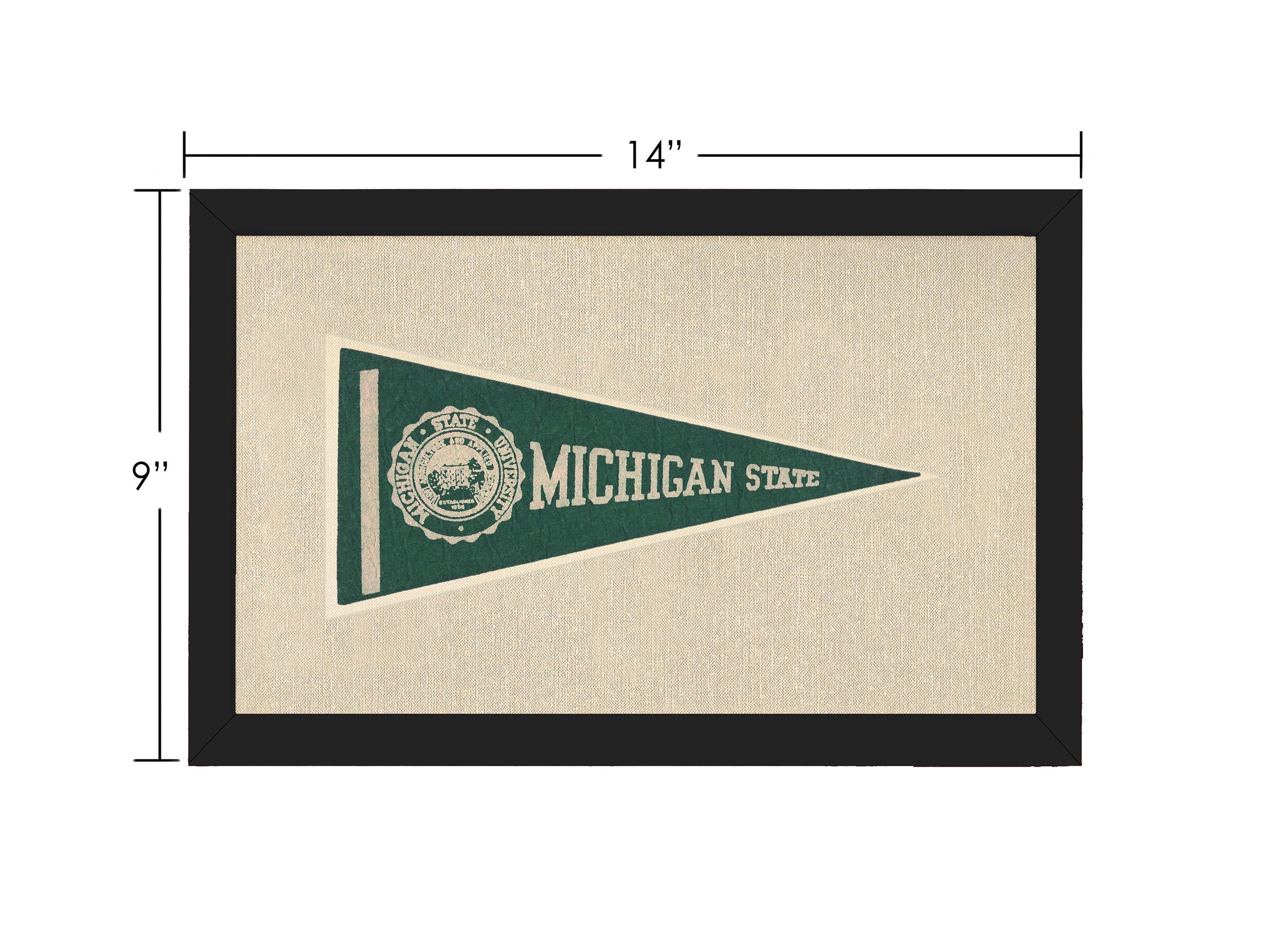 Vintage Michigan State Pennant