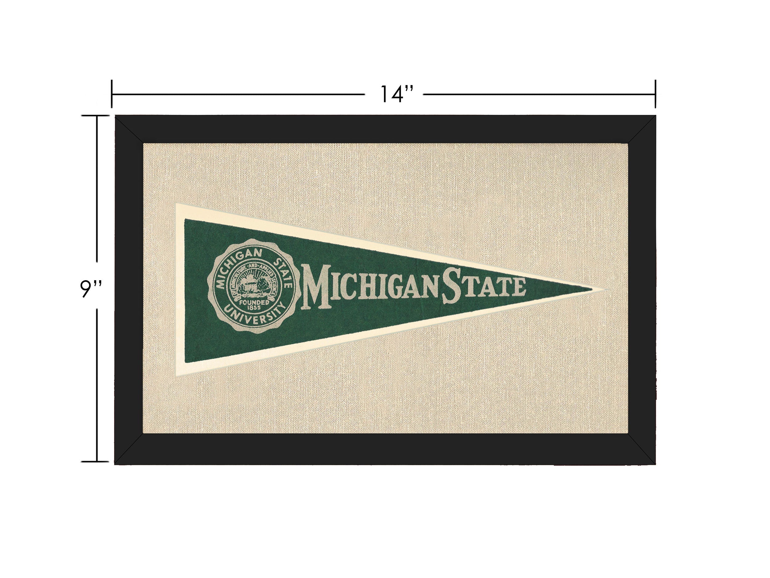 Vintage Michigan State Hormel Pennant