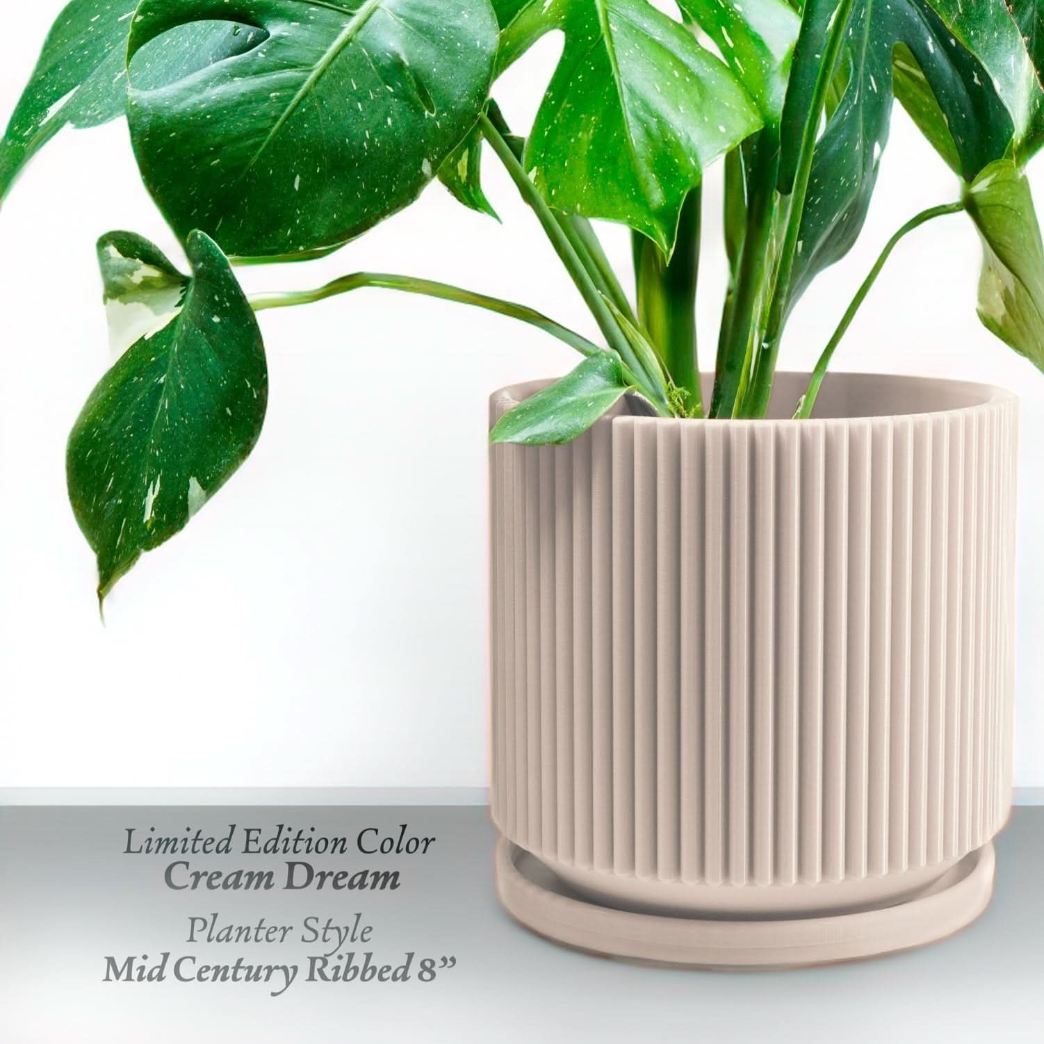 Rosebud HomeGoods Pots &amp; Planters Mid-Century Ribbed Planter