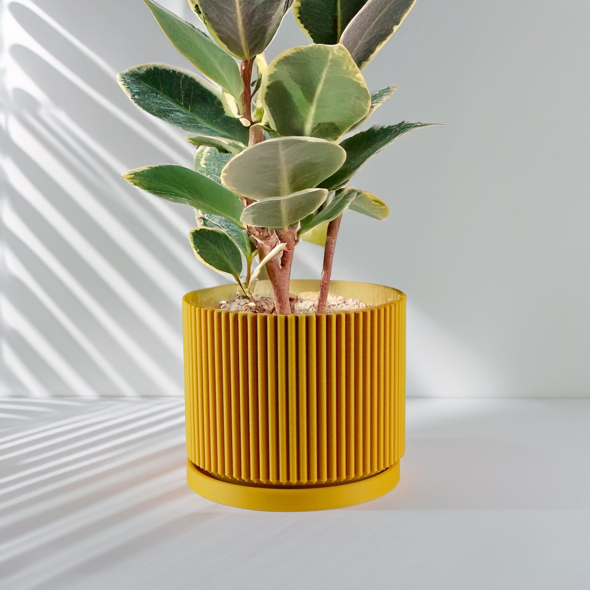 Rosebud HomeGoods Pots &amp; Planters Mid-Century Ribbed Planter