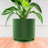 Mid-Century Ribbed Planter - My American Goods
