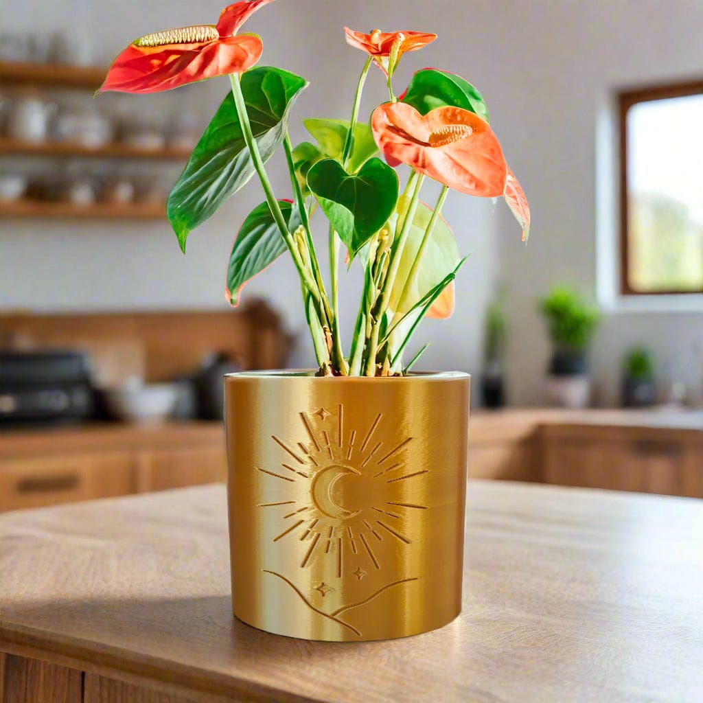 Rosebud HomeGoods Pots &amp; Planters 4 inch diameter / Gold / Without Drip Tray Moon Planter