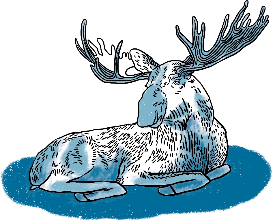 WILD ALASKA