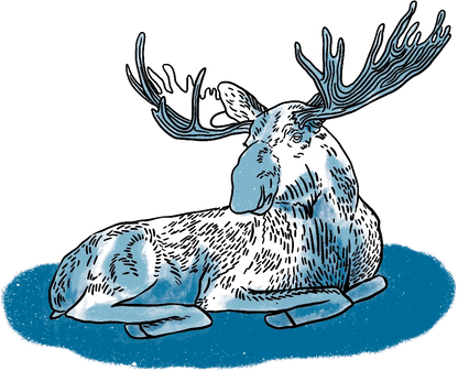 WILD ALASKA
