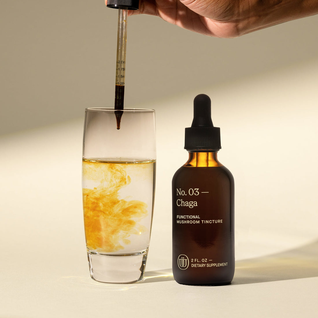 Chaga Tincture — No. 03 - My American Goods