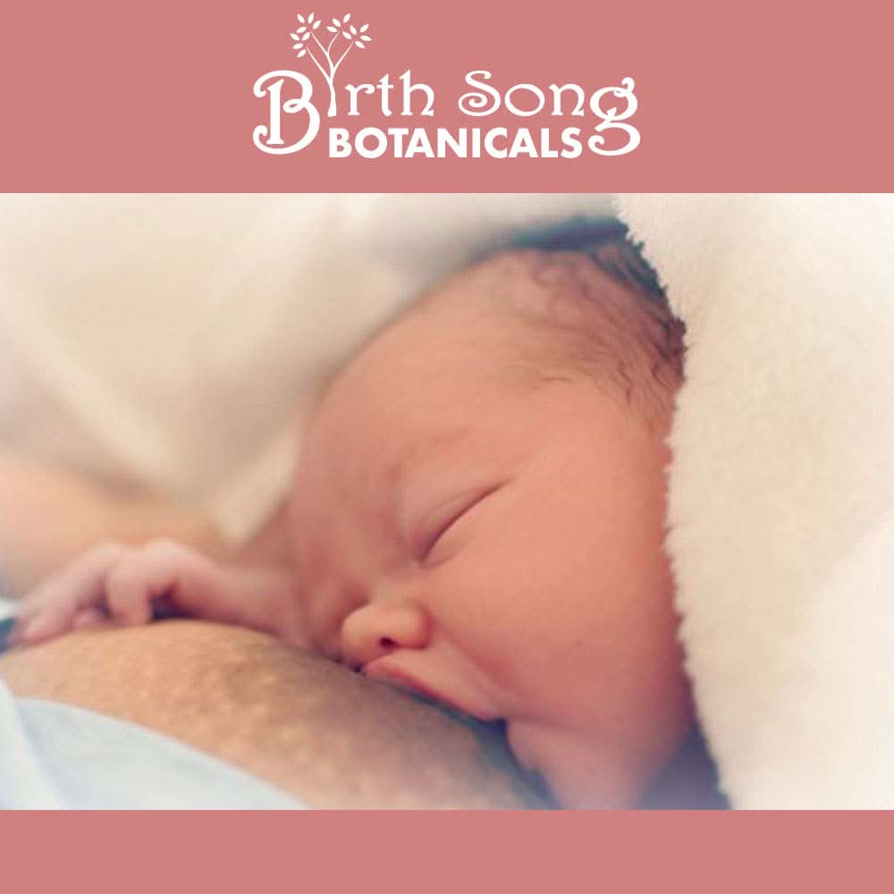 Birth Song Botanicals Co. Skin Care Nipple Salve, Soothing Herbal Nipple Butter for Breastfeeding and Lactation