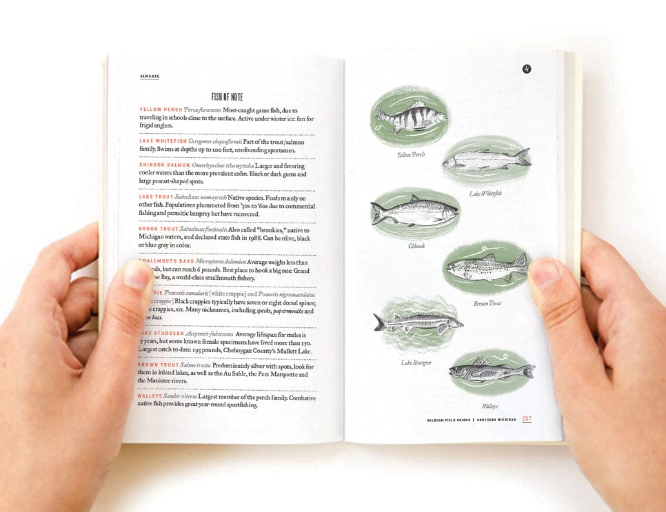 Wildsam Field Guides NORTHERN MICHIGAN