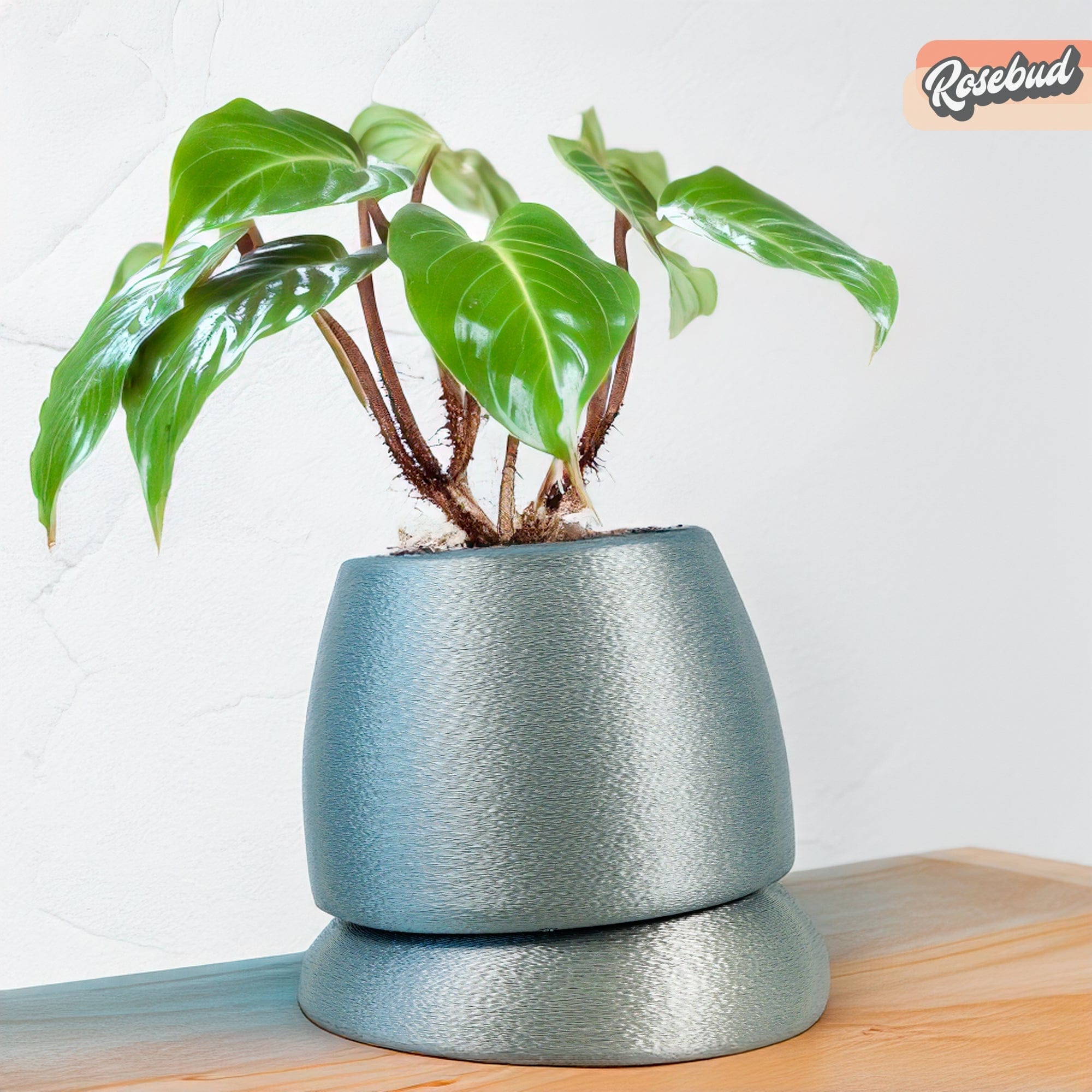 Rosebud HomeGoods Pots &amp; Planters Silver / SMALL Nubium Planter