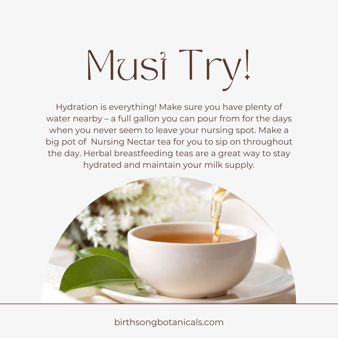 Birth Song Botanicals Co. Tea Nursing Nectar Herbal Breastfeeding Tea For Healthy Lactation and Breastmilk Supply* for Postpartum, Breastfeeding and Pumping 4 oz.