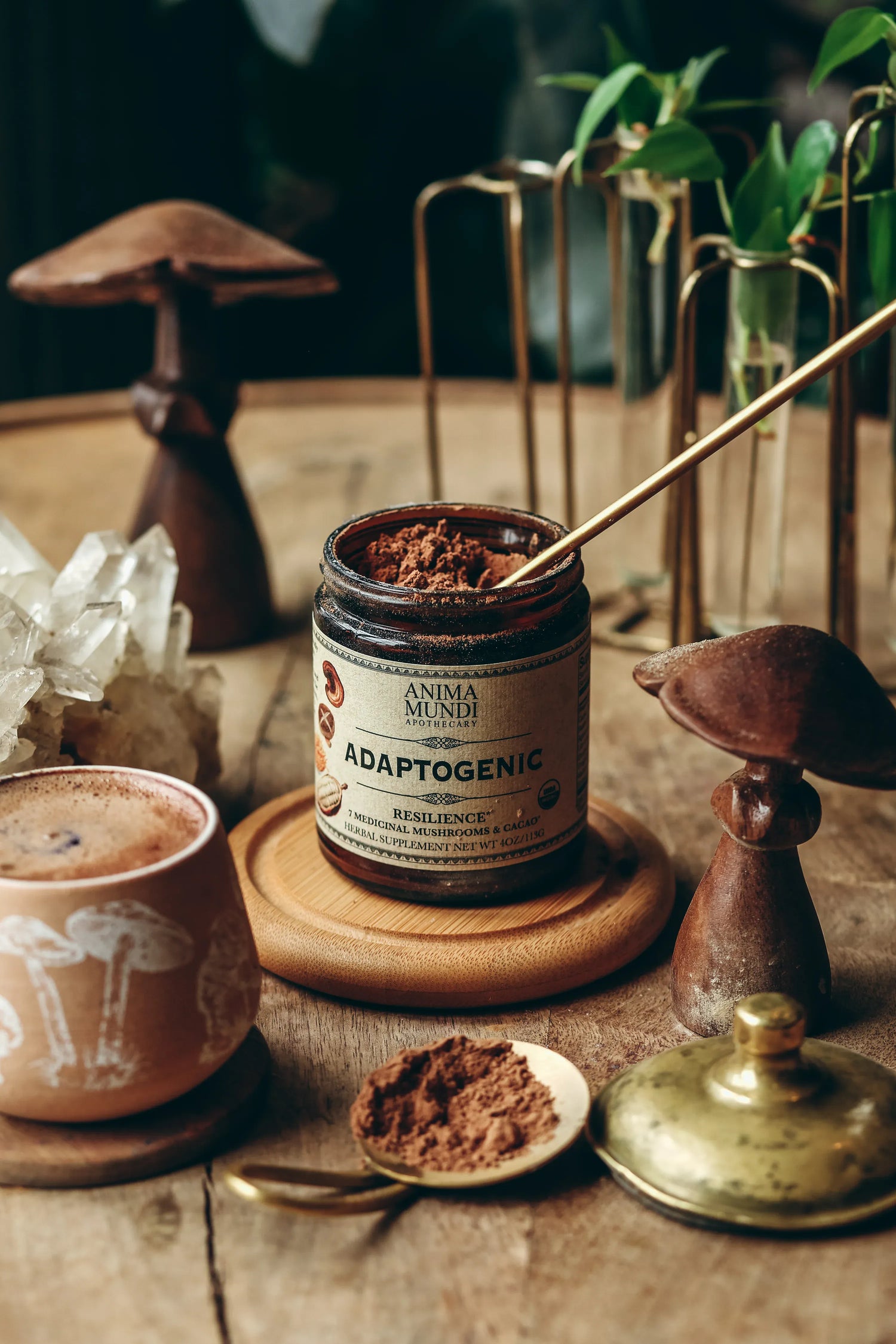 Anima Mundi Mushroom Products ADAPTOGENIC Powder | Organic, 7 Medicinal Mushrooms + Cacao