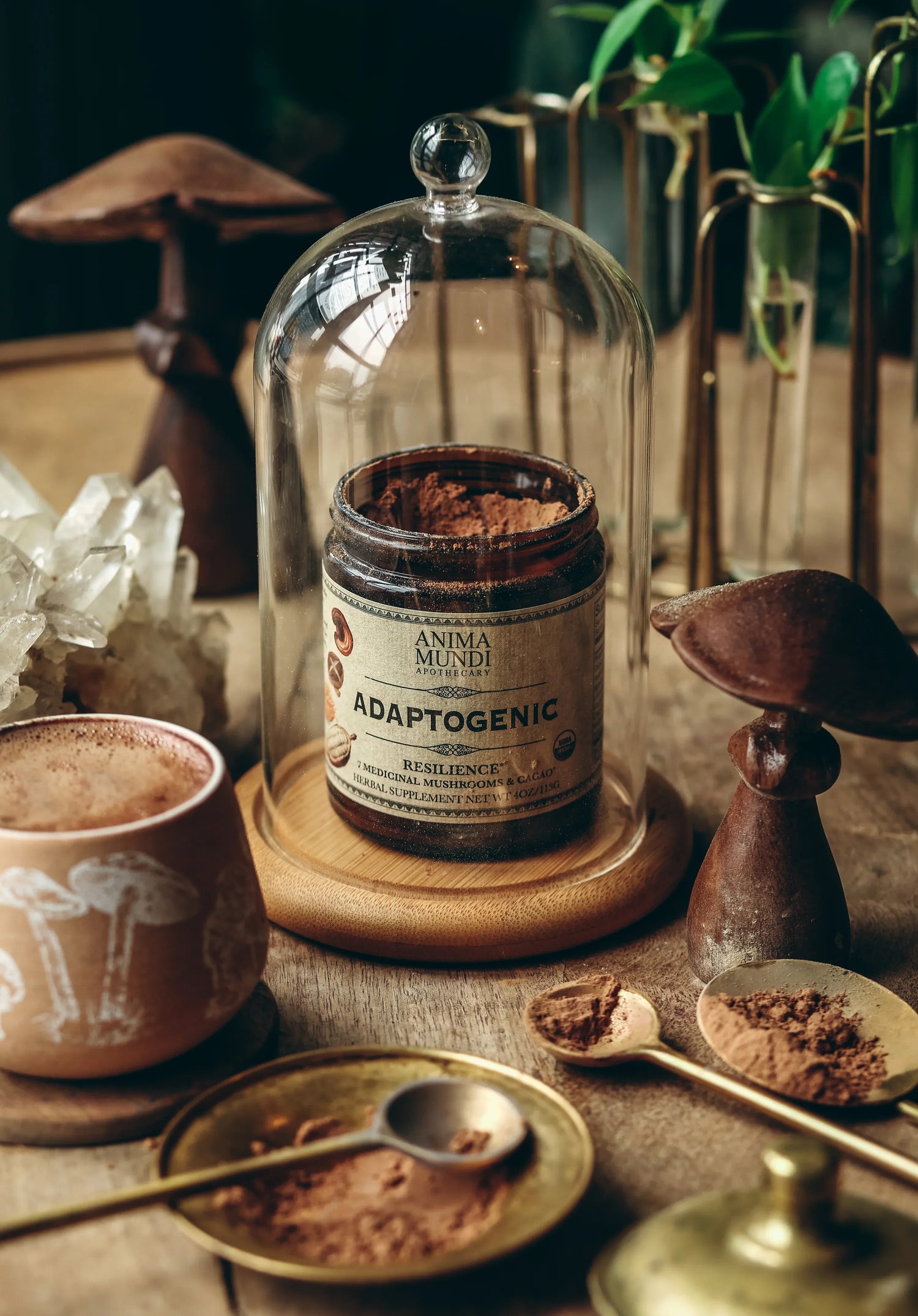 Anima Mundi Mushroom Products ADAPTOGENIC Powder | Organic, 7 Medicinal Mushrooms + Cacao