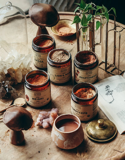 Anima Mundi Mushroom Products ADAPTOGENIC Powder | Organic, 7 Medicinal Mushrooms + Cacao