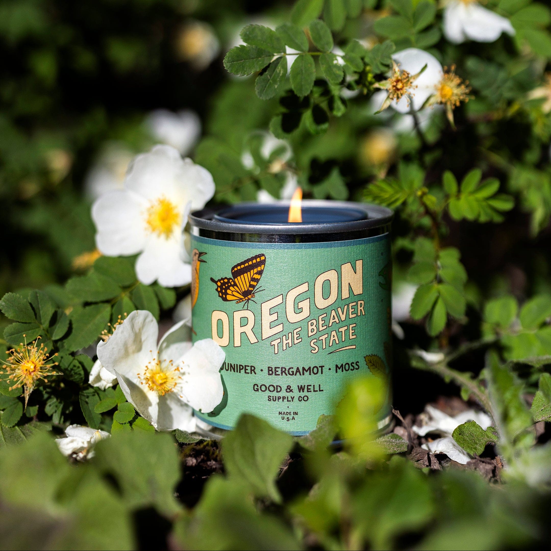 Good &amp; Well Supply Co Candles Half Pint / 8oz / Cotton Wick Oregon State Candle