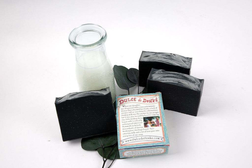 Activated Charcoal Donkey Milk Soap 4.5 oz