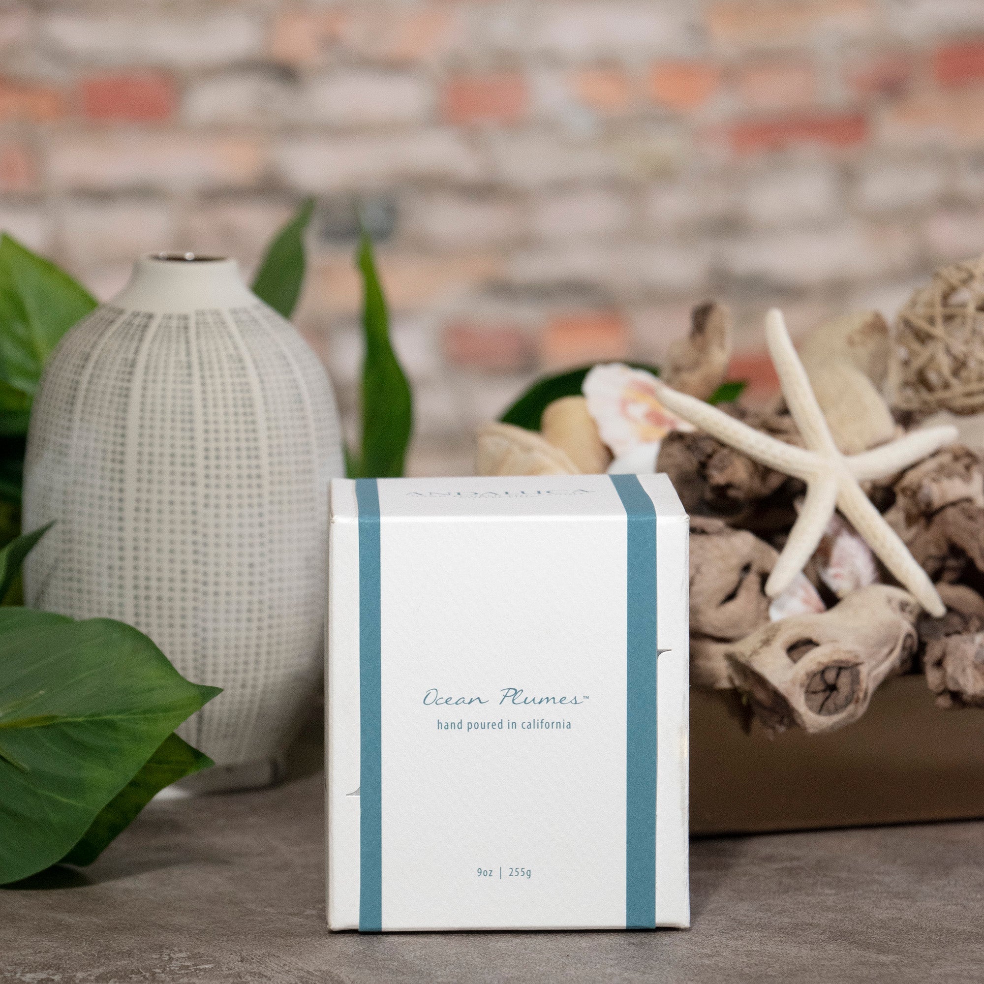 Ocean Plumes 9oz Candle