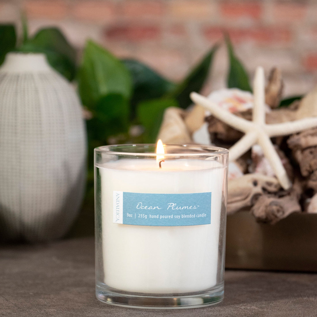 Ocean Plumes 9oz Candle