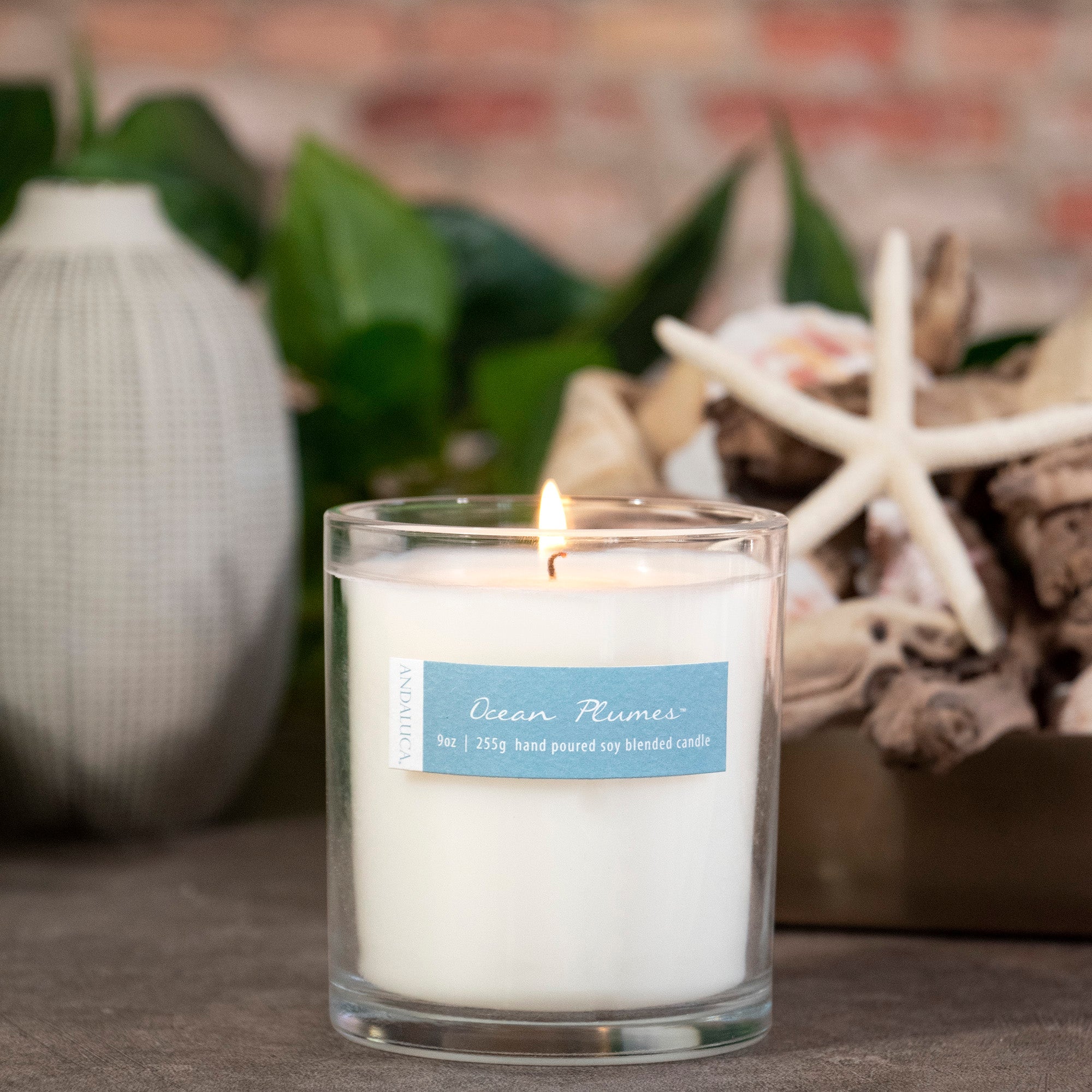 Ocean Plumes 9oz Candle