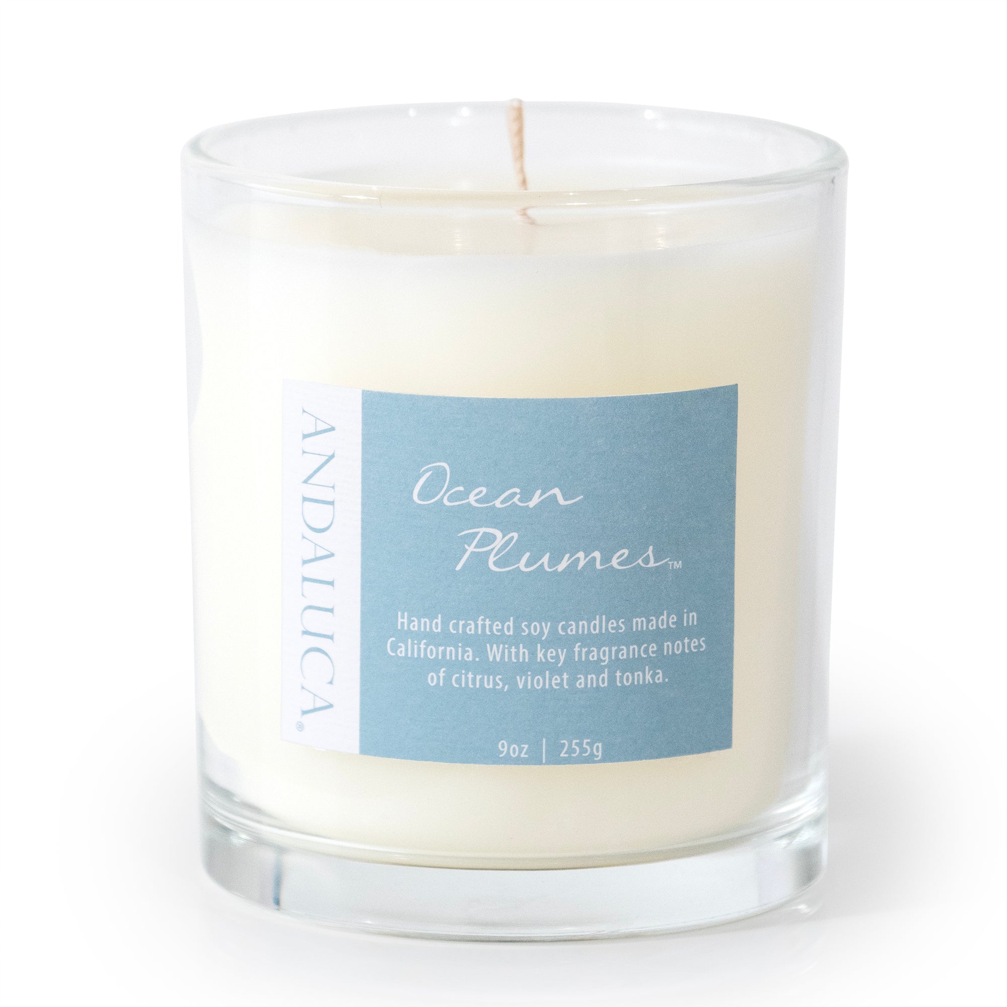 Ocean Plumes 9oz Candle