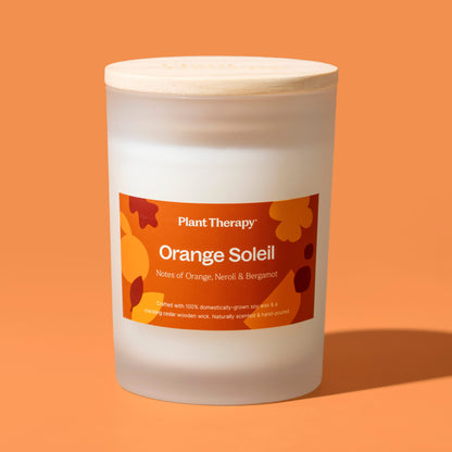 Orange Soleil Naturally Scented Candle - My American Goods