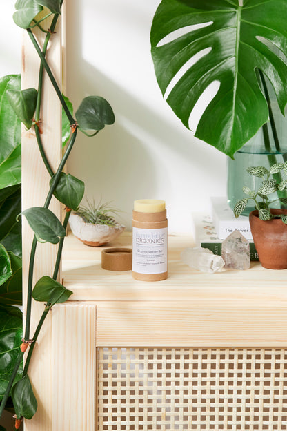 Shea &amp; Coconut Lotion Bar