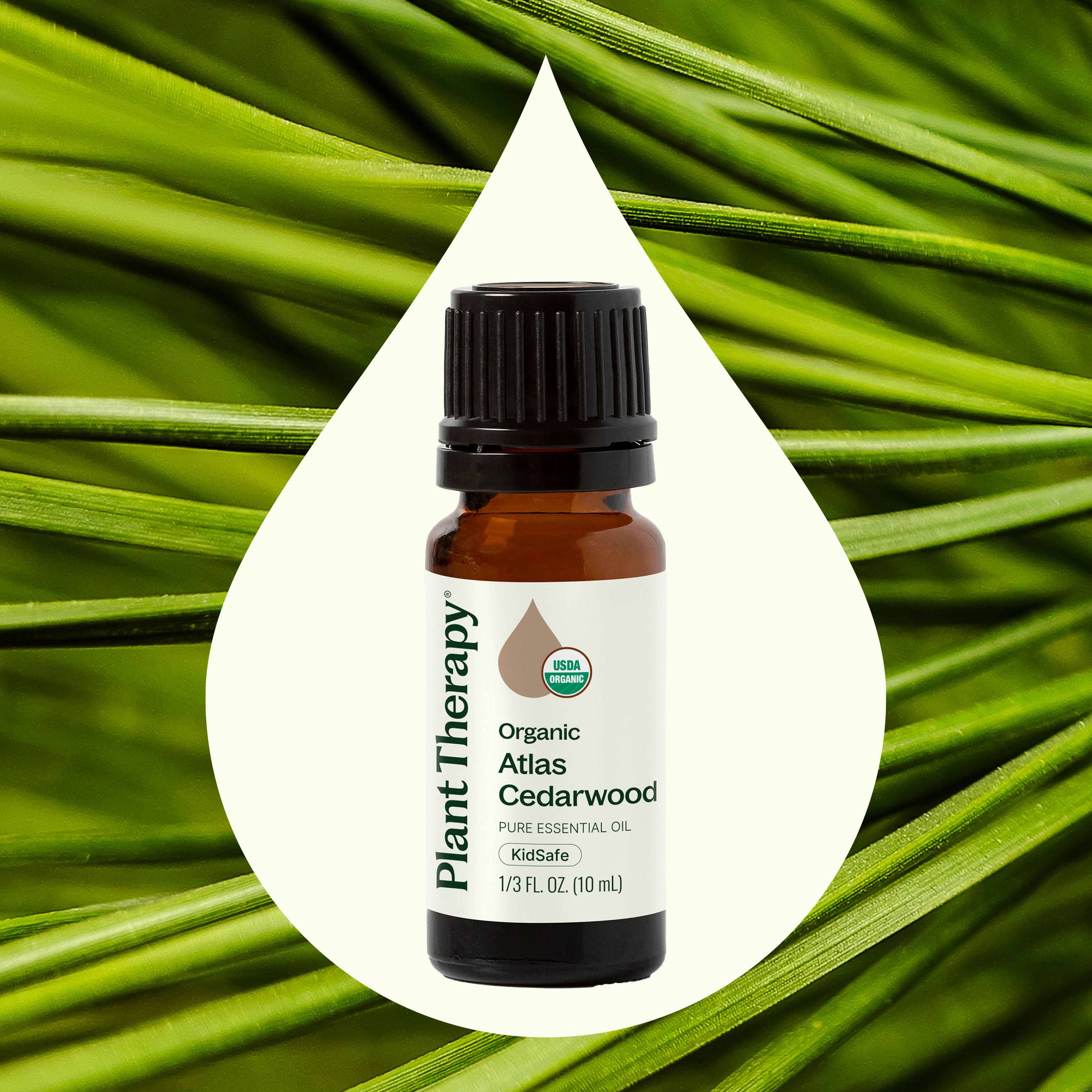 Plant Therapy Essential Oil Organic Atlas Cedarwood Essential Oil