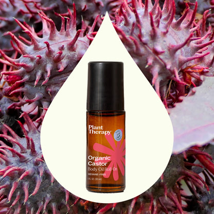 Organic Castor Body Oil Roll-On - My American Goods