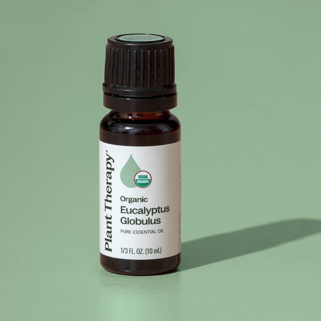 Organic Eucalyptus Globulus 5-Pack