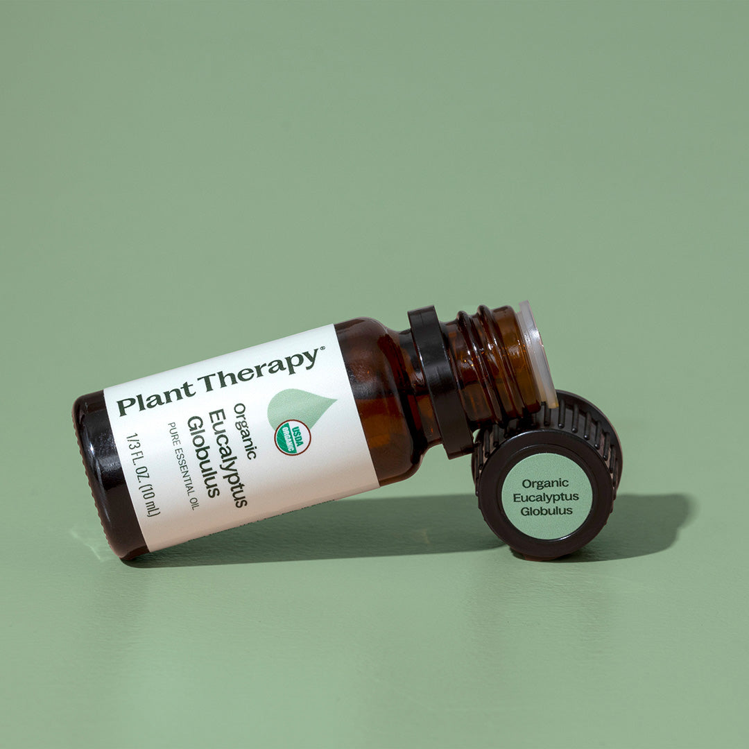 Organic Eucalyptus Globulus 5-Pack