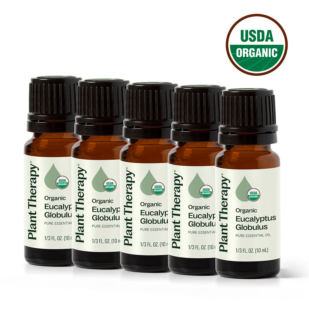 Organic Eucalyptus Globulus 5-Pack