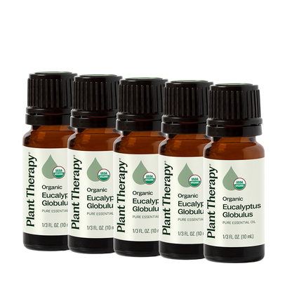 Organic Eucalyptus Globulus 5-Pack