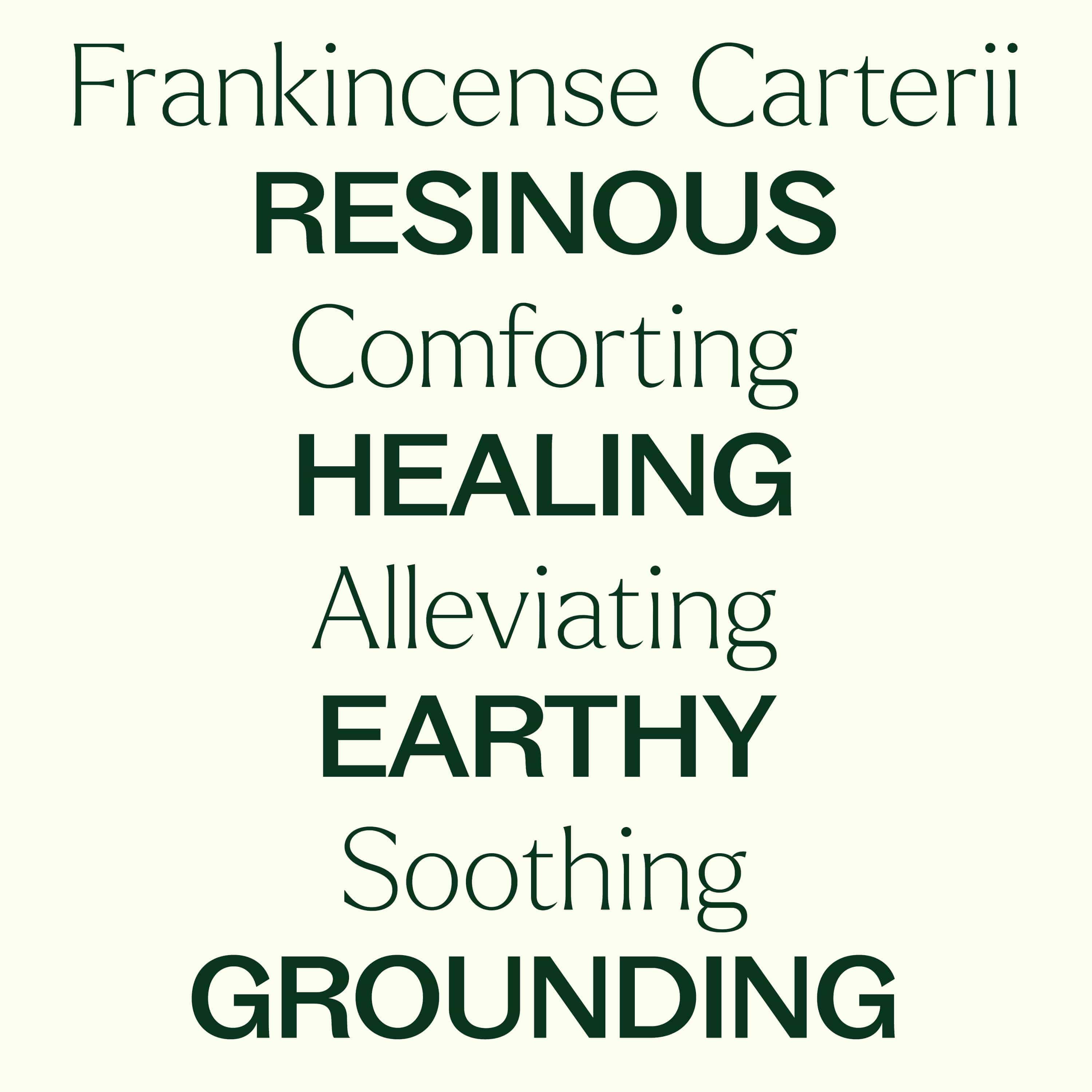 Plant Therapy Essential Oil Organic Frankincense Carterii Essential Oil