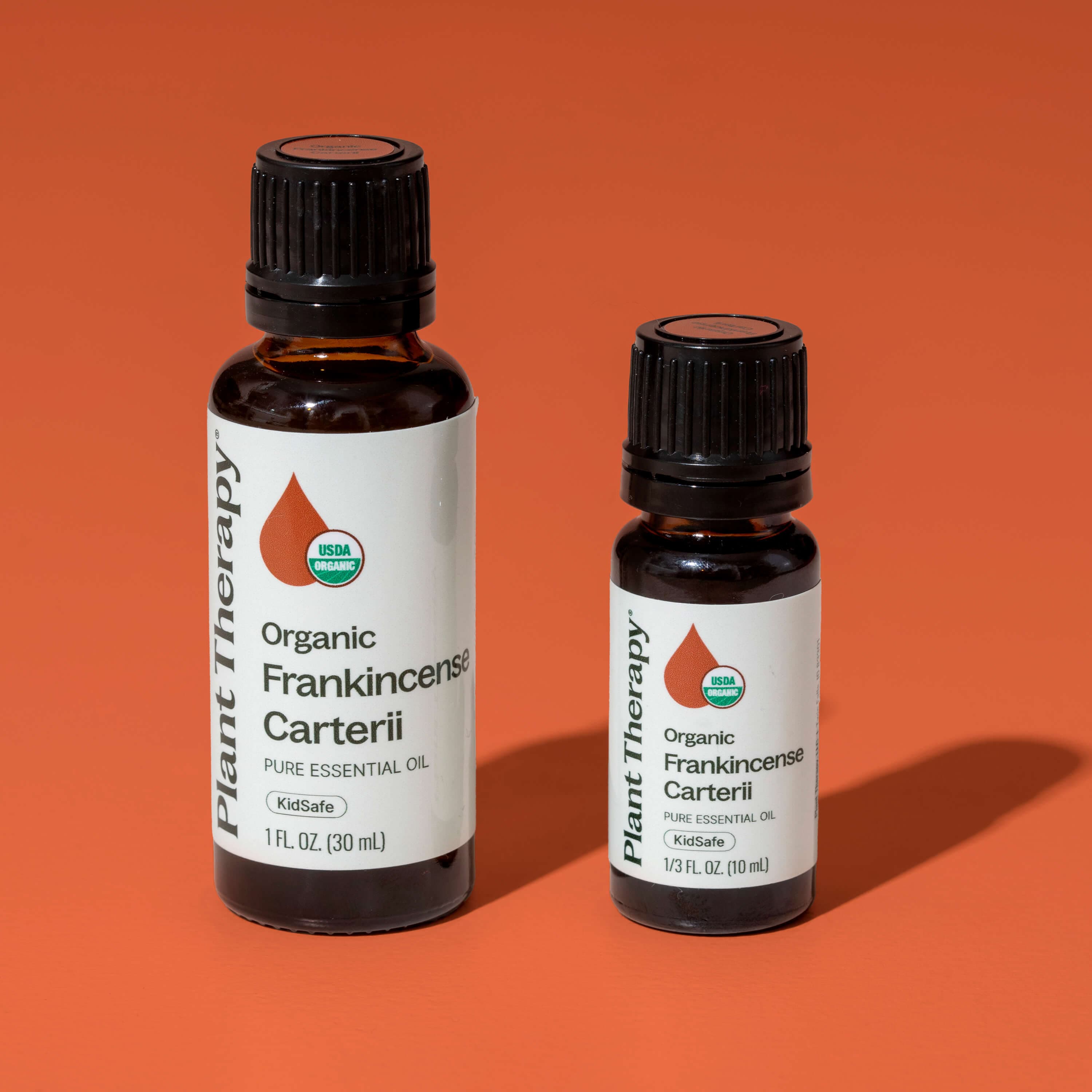 Plant Therapy Essential Oil Organic Frankincense Carterii Essential Oil